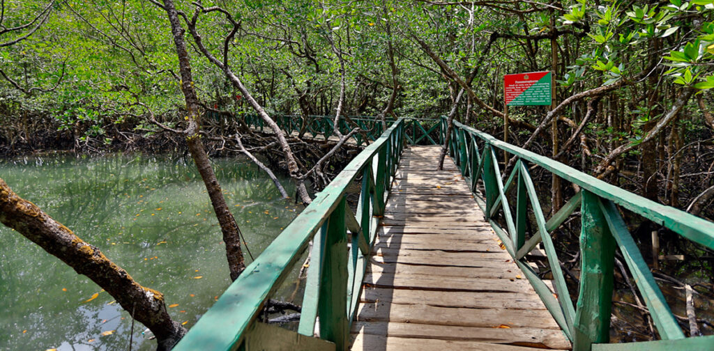 baratang baratang Andaman Holiday Trips